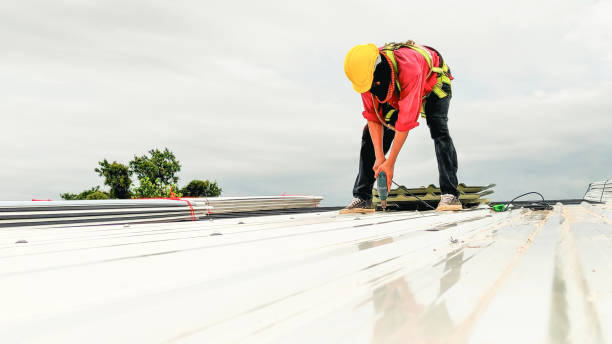 Best Cold Roofs  in Pinconning, MI
