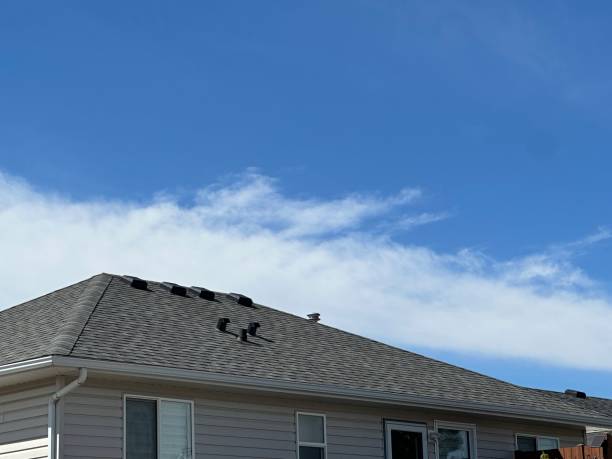Best Tile Roofing Installation  in Pinconning, MI